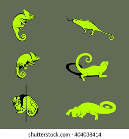 chameleon silhouette  in different poses for a logo