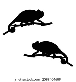 Chameleon Silhouette, Chameleon illustration, Chameleon icon Silhouette, Chameleon Silhouette illustration