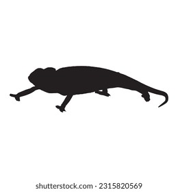 chameleon silhouette set collection isolated black on white background vector illustration