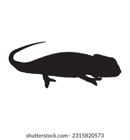 chameleon silhouette set collection isolated black on white background vector illustration