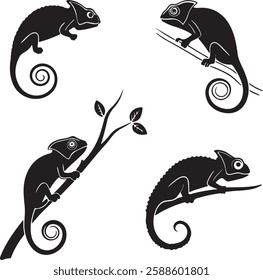 Chameleon Silhouette Set, Chameleon Vector Clip Art Isolated Symbol