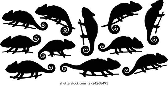 Conjunto de vetor de silhueta de camaleão, rabos enrolados e poses de galho, ilustração de répteis exóticos para a natureza, vida selvagem, floresta, design e conteúdo educacional