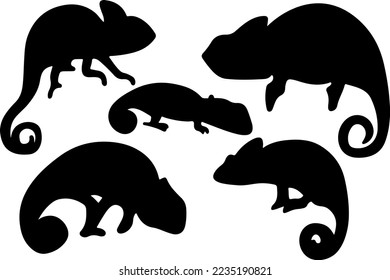 Chameleon silhouette vector for websites, graphics related artwork