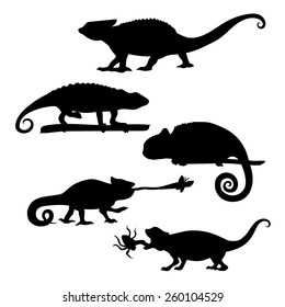 Chameleon of silhouettes set vector