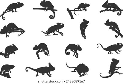 Chameleon silhouettes, Chameleon vector illustration, Chameleon animal icon, Chameleon silhouette