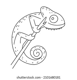 Chameleon sitting on a branch black and white vector illustration.