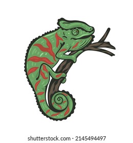 Chameleon sitting on a branch isolated on white background. Vector graphics.