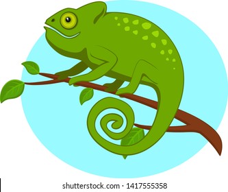 Chameleon sitting on a tree branch.