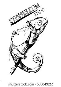 Chameleon sketch. Vector