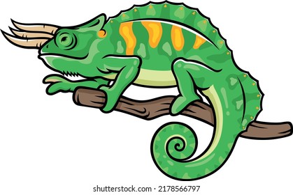 Chameleon with Three Horns and Fins Walking on the Branch