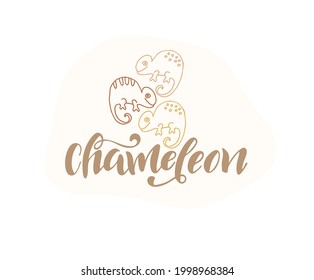 Chameleon Typography logo with  chameleon hand drawn text.  Template for animal design, kids apparel, nursery decoration.
