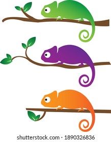 chameleon varian green, purple, orange in twigs