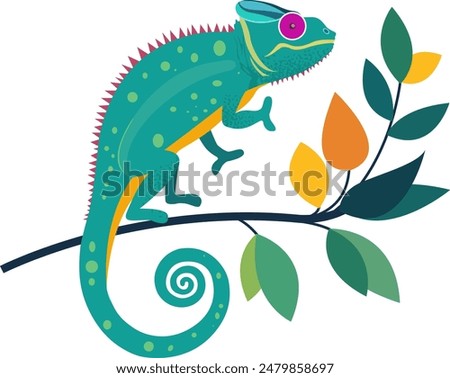 Chameleon vector. Animal reptiles and lizards of jungle forests in flat design illustration. Fauna of South Africa. Colorful chameleon for icons, posters, books illustrating. Isolated on white.