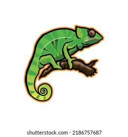 chameleon vector graphic design illustration