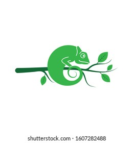 chameleon vector icon logo illustration design template
