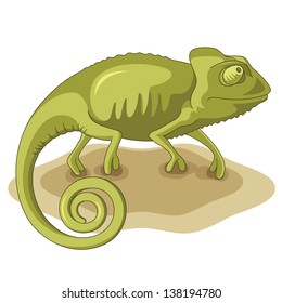 Chameleon, vector illustration