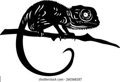 Chameleon vector illustration