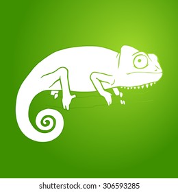 chameleon vector illustration
