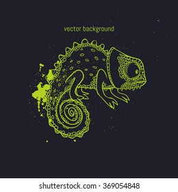 Chameleon. vector illustration