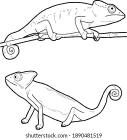 Chameleon Vector Illustration Hand Drawn Animal Cartoon Art