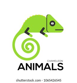 chameleon vector illustration symbol object. Flat icon style concept design