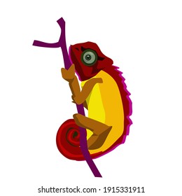 chameleon vector image perched on a branch isolated on a white background.