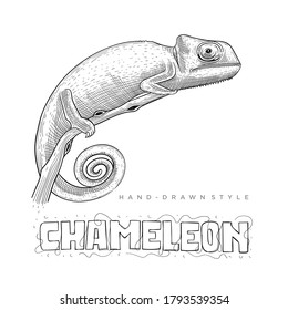 chameleon vector on a tree branch. hand drawn animal illustration