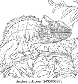 Chameleon vector outline colouring book page design