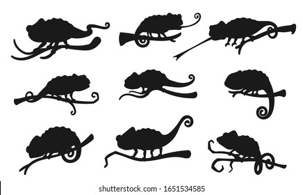 Chameleon vector silhouette icons. Exotic lizard reptiles, chameleon hunting with rolled out tongue sitting on tree branch, zoology park symbol