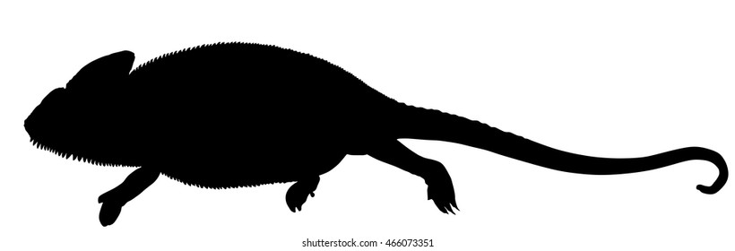 Chameleon vector silhouette illustration isolated on white background.
