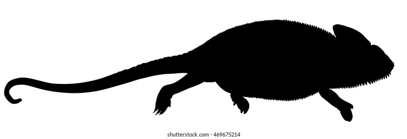 Chameleon vector silhouette illustration isolated on white background.