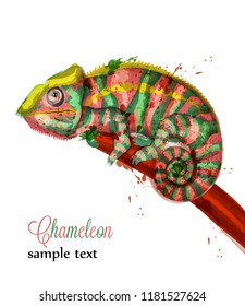 Chameleon watercolor Vector. Colorful painted style illustrations