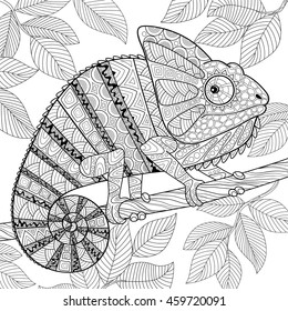 Chameleon in zentangle style. Adult antistress coloring page. Black and white hand drawn doodle for coloring book