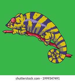 Chameleons are a family of lizards. Most can change the colour of their skins for camouflage, or to signal mood to other chameleons.