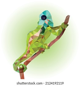 Chameleons that crawl on trees or branches. likes to eat insects and has a long tongue low poly vector