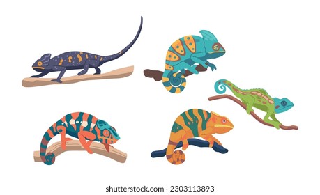 Chameleons Are Unique Reptiles Known For Their Long, Sticky Tongues, Ability To Change Color Cartoon Vector Illustration