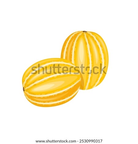 Chamoe, Korean melon isolated in white. 