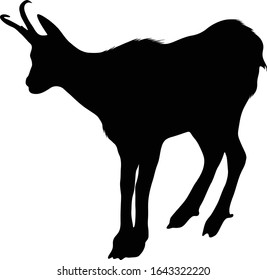 Chamois (Rupicapra Rupicapra) Silhouette Vector Found In Europe