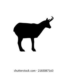 Chamois Silhouette Vector Isolated For The Best Chamois Icon Illustration. Simple design mountain goat, endemic to Germany.