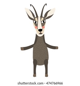 Chamois standing on two legs animal cartoon character isolated on white background.