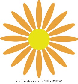 chamomila flower colorful vector illustration. Yellow gerbera . Sun vector icone. 