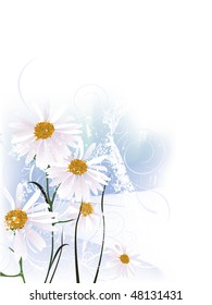 chamomile
