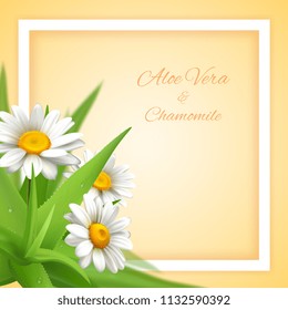 Chamomile Aloe Flowers Background