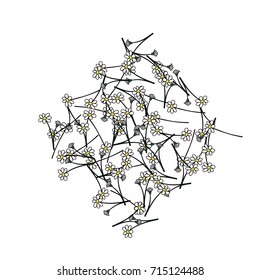 Chamomile background. Spring or summer pattern. Vector drawn daisy flowers falling down or lying. Camomile field flowers, floral border or frame. Romantic background, natural cosmetics design element.
