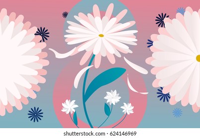 Chamomile banner. Vector illustration