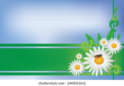 
chamomile and bee as background image