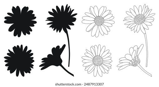 Chamomile, black silhouette, outline sketch