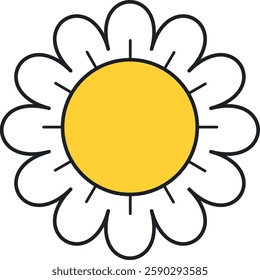 Chamomile blossom flower vector illustration