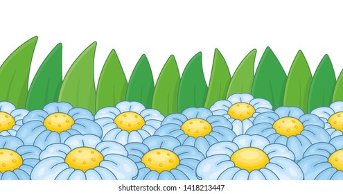Chamomile border. isolated on white background