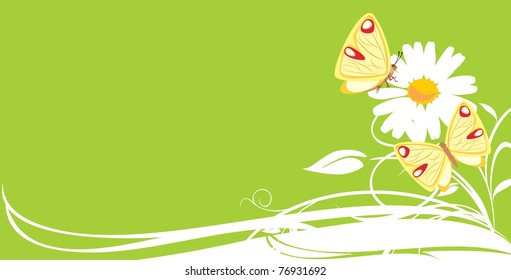 Chamomile and butterflies. Decorative banner. Vector